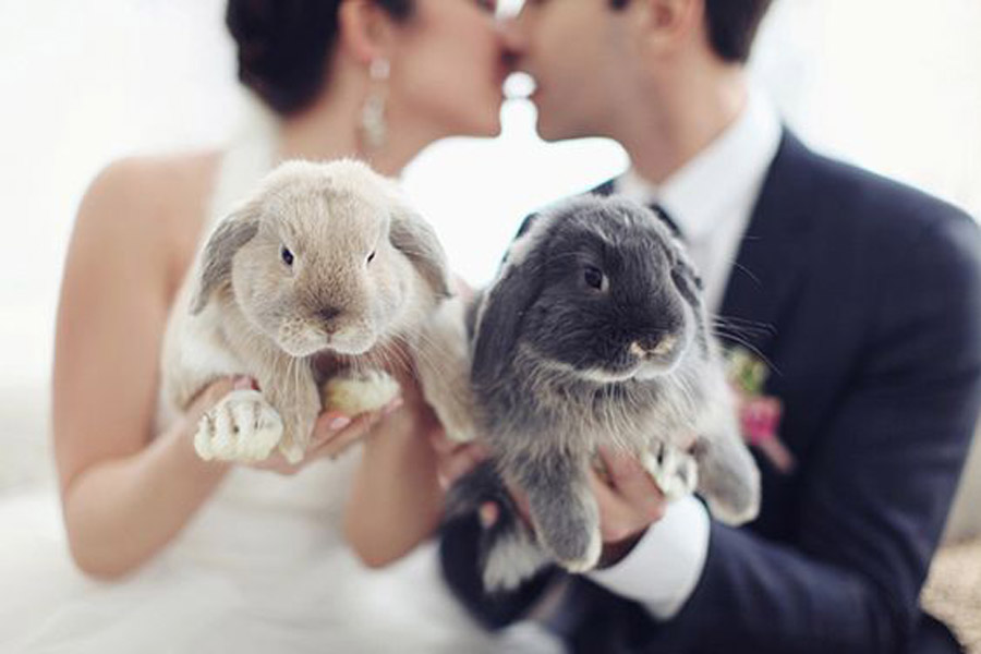 UN CONEJITO DE PASCUA EN TU BODA pascua-boda 