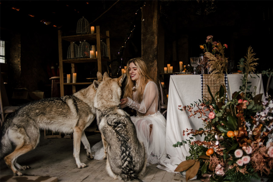 WILD CHRISTMAS shooting-boda-invierno 