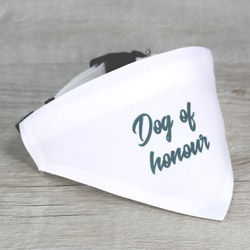 Perro luciendo una bandana blanca con el texto YA VIENEN MIS PAPIS en una boda