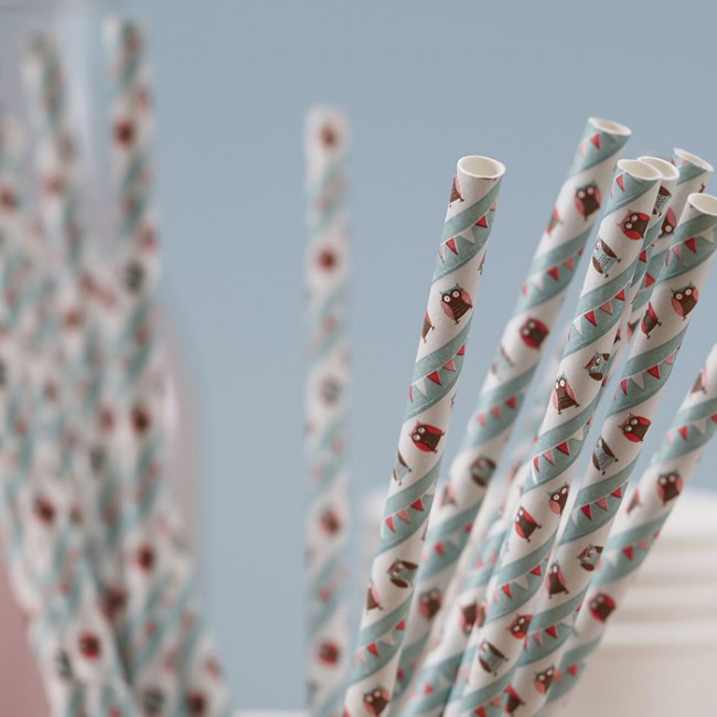 Cañitas de búhos: Detalles fiesta