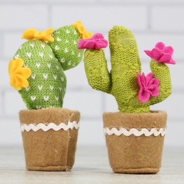 Mini cactus 