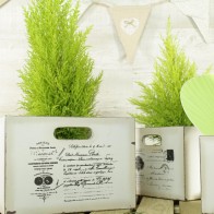 Caja de madera blanco decapado