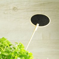 Marcasitios de pizarra ovalado