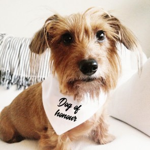 Bandana de boda para perro