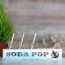 caja madera soda