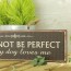 Placa I may not be perfect